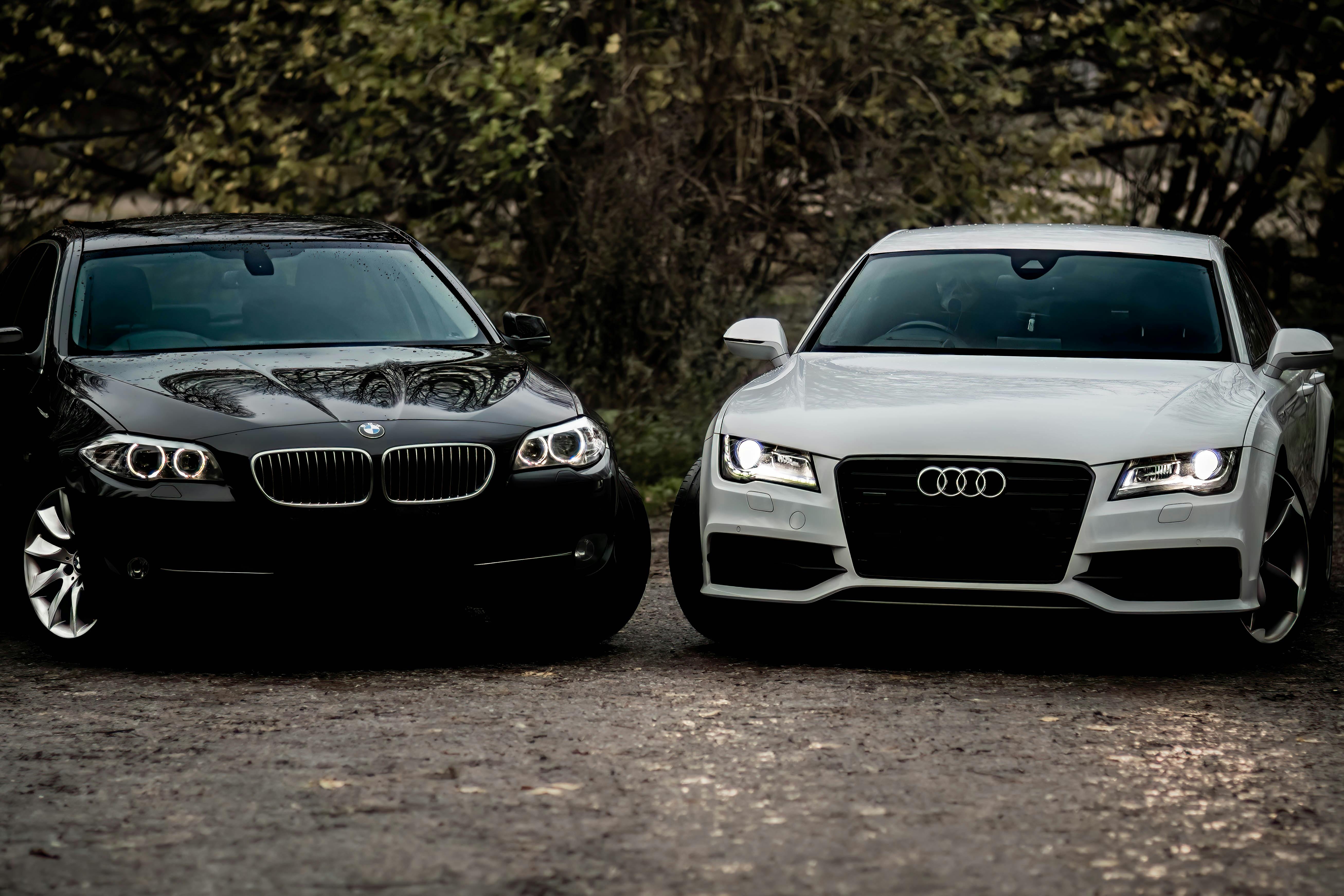 Luxury Car (BMW, Audi)